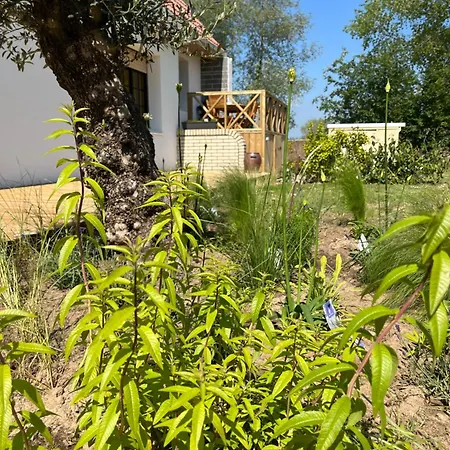 Gite Aimee De L'etoile Tatil Evi *