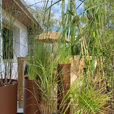 Tatil Evi Gite Aimee De L'etoile