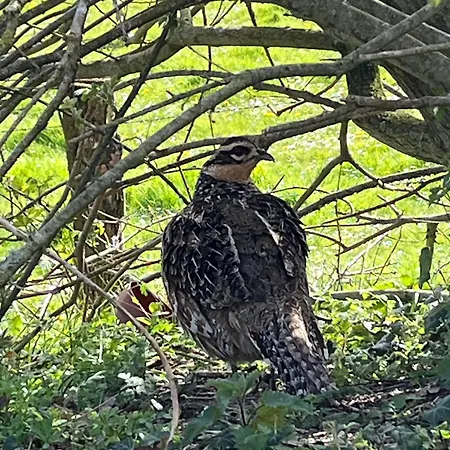 Gite Aimee De L'etoile Σπίτι διακοπών