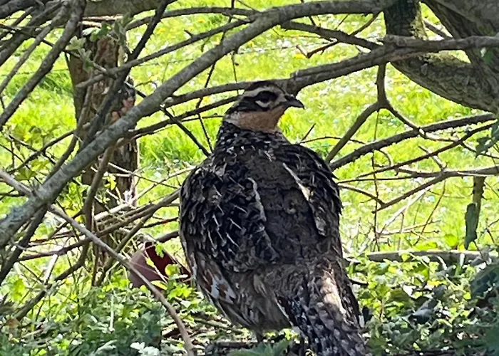 Gite Aimee De L'etoile Casa vacanze